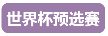 世界杯预选赛